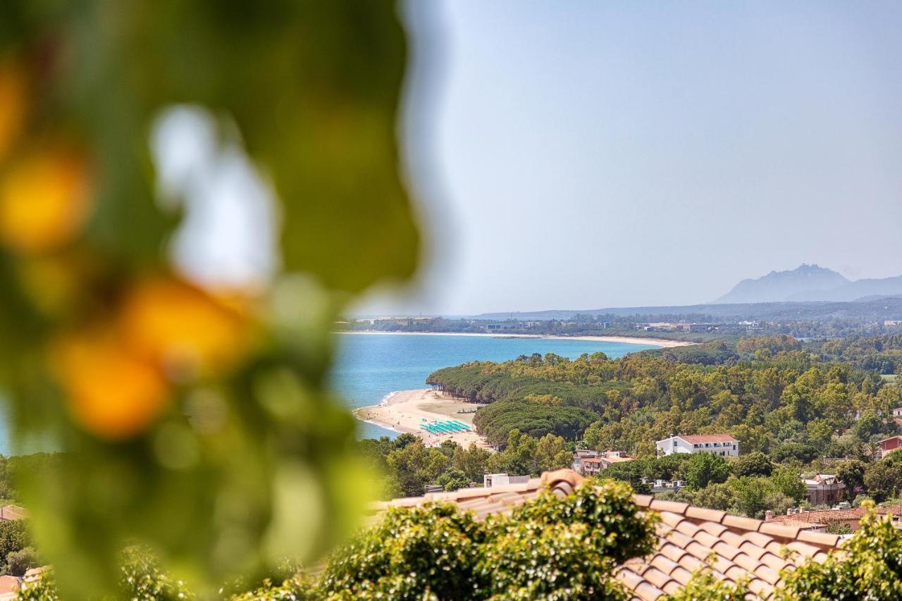 B&B Piu Mare Santa Maria Navarrese Kültér fotó